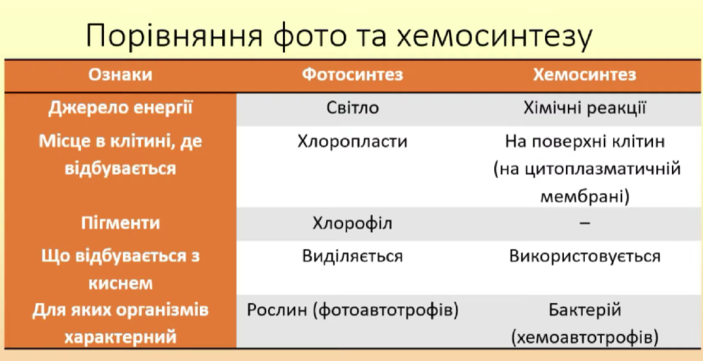 0300v95j-0ac0-703x361.png