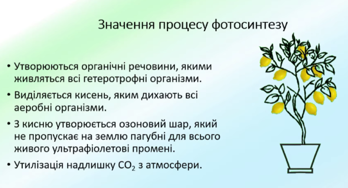 0300v9a8-2fae-704x381.png