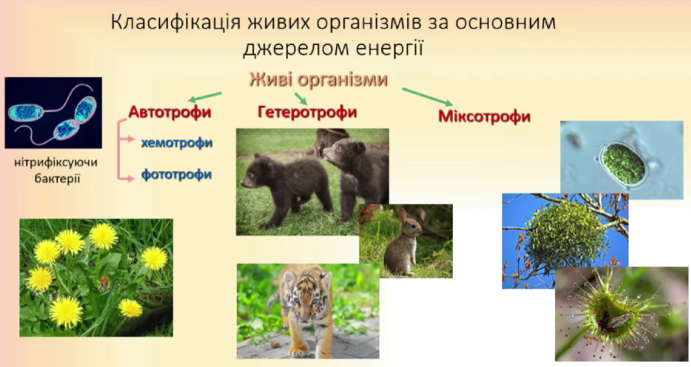 0300v9cc-150b-691x367.png