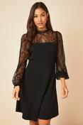 Buy Friends Like These Lace Yoke Mini Long Sleeve Dress from the Next UK online shop