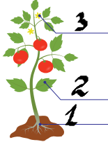 0300vdbi-9962-155x205.png