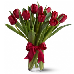 0300vdwe-474e-258x258.png