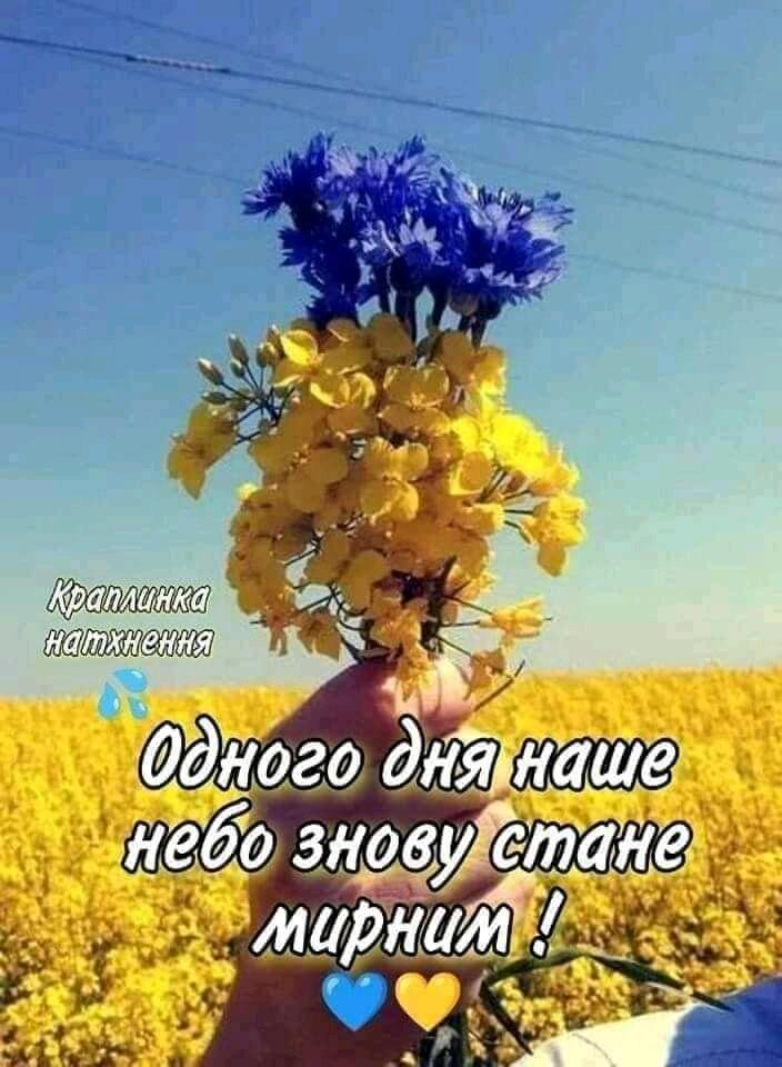 0300ve30-01d5-704x960.jpg