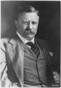 0300ve80-ee99-120x173.jpg