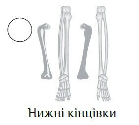 0300vi9g-db75-282x254.jpg