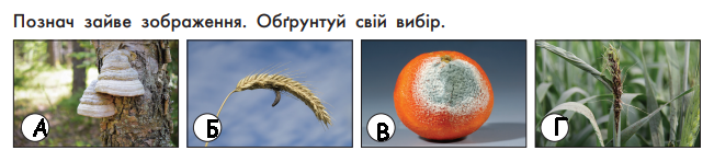 0300vik0-a8d5-651x148.png