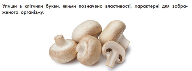 0300vj8t-faf4-649x243.png