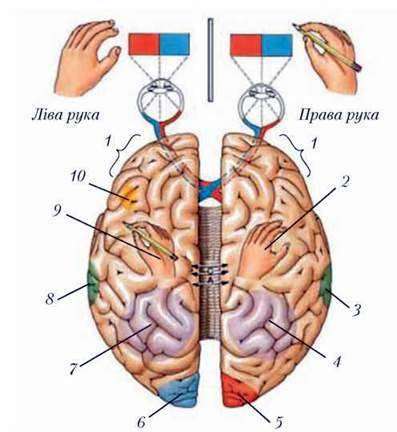 0300vnc5-aa57-397x432.jpg