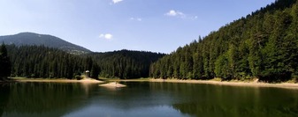 0300vq9w-2981-337x133.jpg