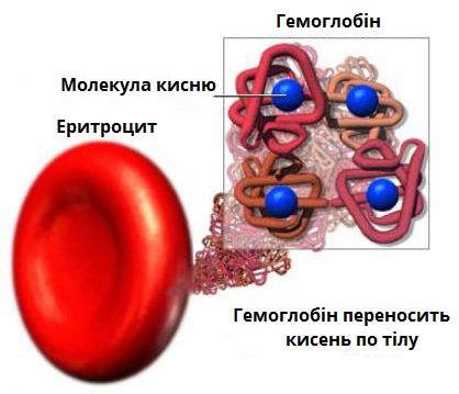 Транспортна