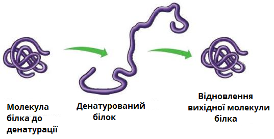 0300vt7t-75a5-537x272.png