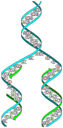 0300vtfx-0941-220x443.png