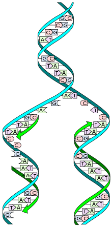 0300vtfx-0941-220x443.png