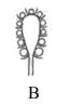 0300vtsv-a56f-65x97.png