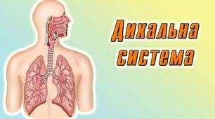 Дихальна система.