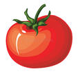 Cartoon Tomato stock illustration. Illustration of health - 38241898