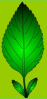 0300vyuc-8ec9-94x197.png