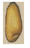 0300vz1a-da09-100x160.png