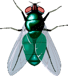 0300vzkd-d104-139x154.png