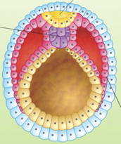0300w0v6-d4a9-172x205.png