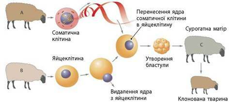 0300w2ed-c6fb-481x211.jpg