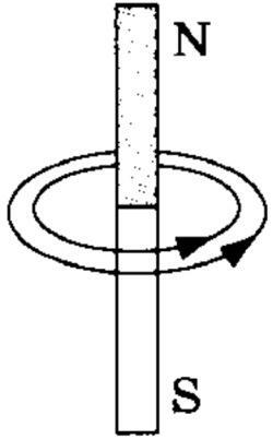 0300w2i0-049c-250x402.jpg