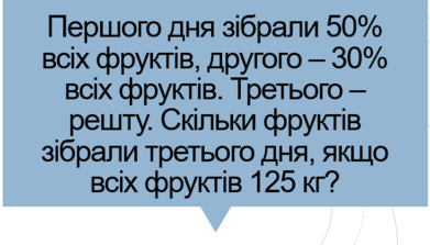 0300w34q-8a26-391x223.png