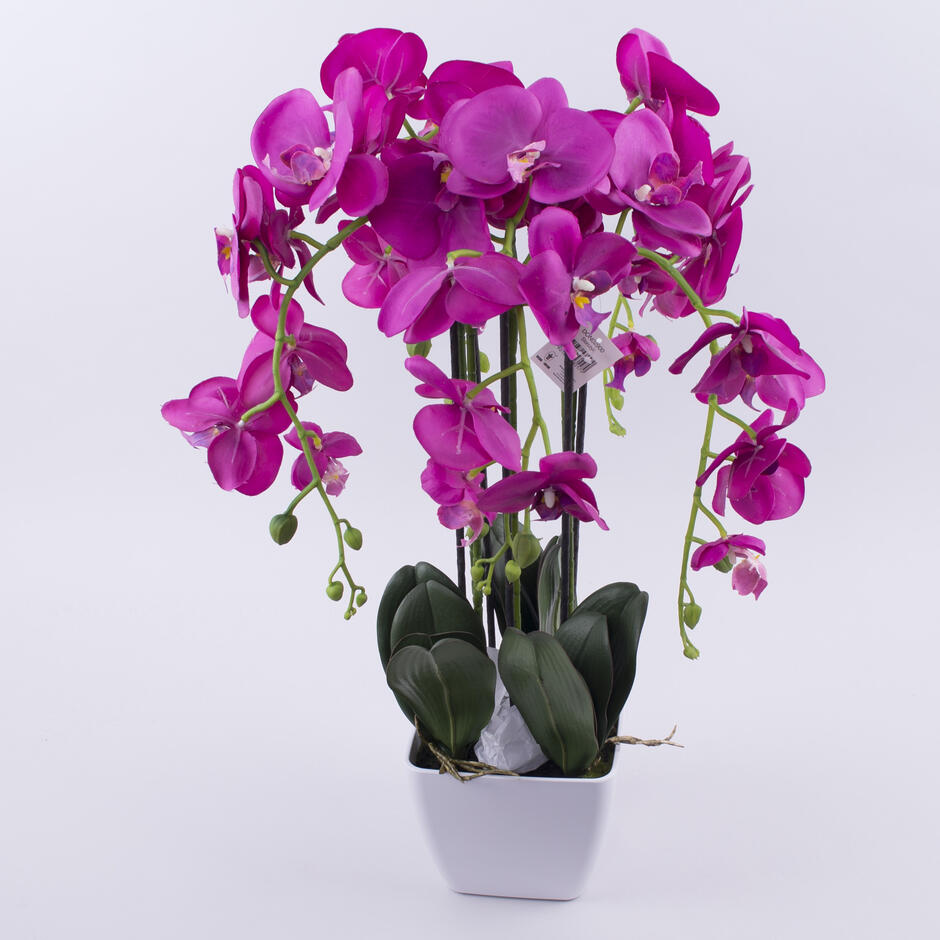 0300w35g-bd93-940x940.jpg