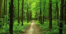0300w7ap-59b3-228x120.jpg