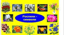 Заняття гуртка "Криниченька". Тема:  Рослини в українських обрядах.