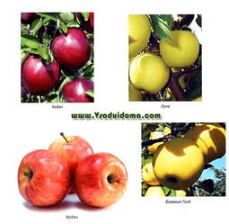 0300wb0a-5d88-255x249.png
