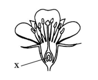 0300wbhn-160b-195x159.png