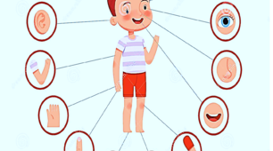 Body parts