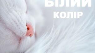 Презентація до кольорового тижня "Білий колір"