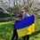 Кучеренко Наталія Анатоліївна