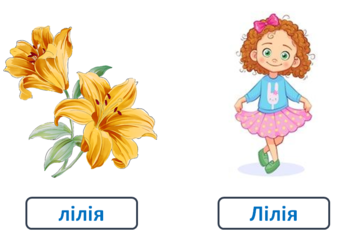 0300ws8m-1131-364x241.png