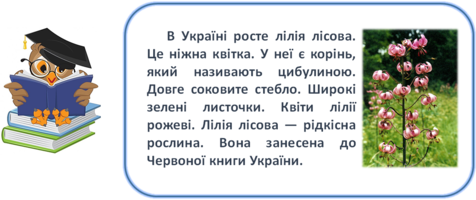 0300ws98-98c5-476x200.png