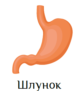 0300wufd-e949-268x316.png