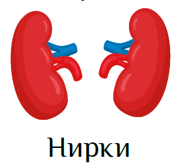 0300wufh-c9b0-258x241.png