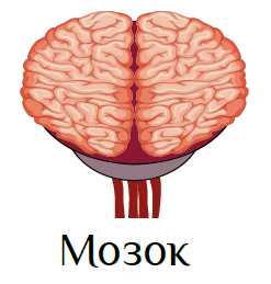 0300wufn-cd2c-247x259.png