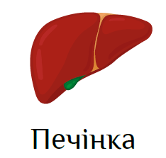 0300wufq-130d-234x223.png
