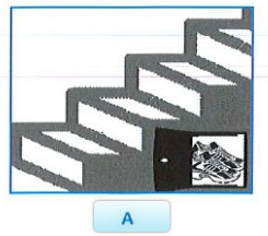 0300wv7r-7993-245x216.png