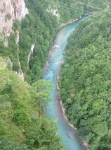 0300wz8x-1344-151x202.jpg