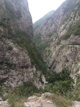 0300wz9d-1793-155x206.jpg