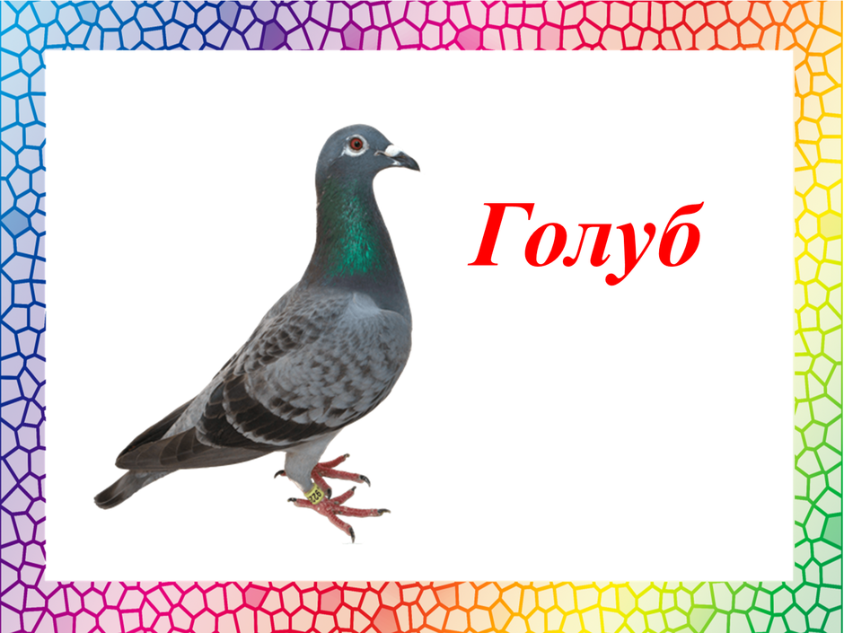 0300x2fi-060f-940x705.png