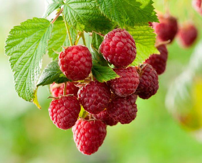 0300x8je-f063-700x564.jpg