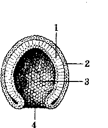 0300xa2r-86c6-214x253.png