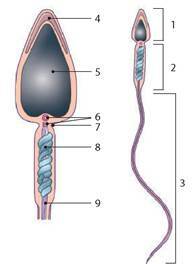0300xeu6-5624-192x264.jpg