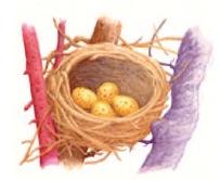 0300xf0f-3263-203x166.png