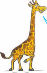 0300xird-ab96-95x147.png